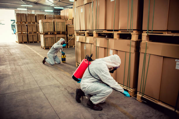 Trusted Kildeer, IL Pest Control Experts