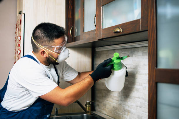 Best Residential Pest Control  in Kdeer, IL