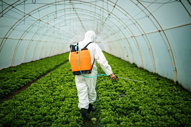 Best Residential Pest Control  in Kdeer, IL