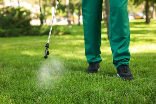 Best Rodent Control Near Me  in Kdeer, IL