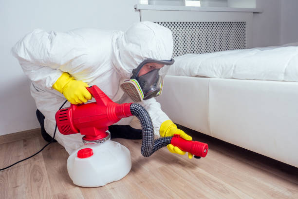 Best Pest Removal Services  in Kdeer, IL