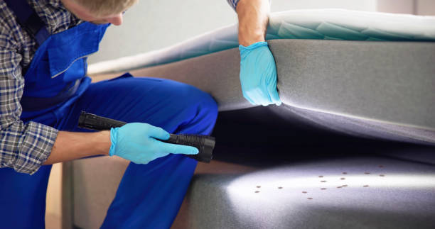 Wasp Removal Services in Kildeer, IL
