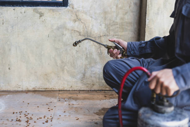 Best Pest Control Cost  in Kdeer, IL